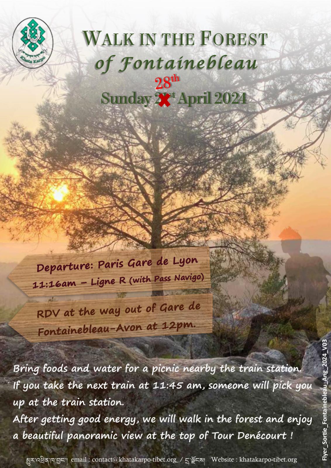 28th of april - Walk in the forest of Fontainebleau