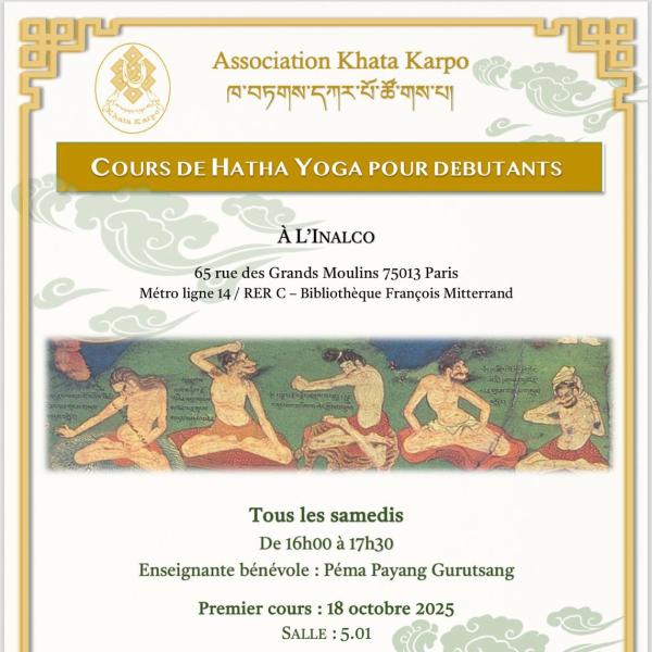 Cours de Hatha Yoga pour Débutants