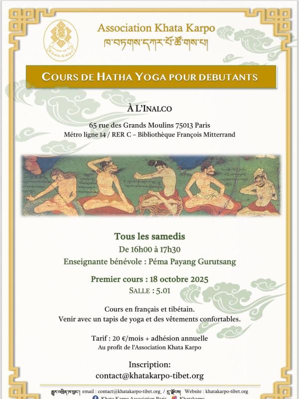 Cours de Hatha Yoga pour Débutants