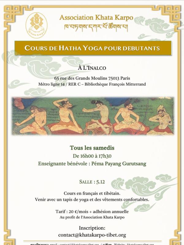 Cours de Hatha Yoga pour Débutants