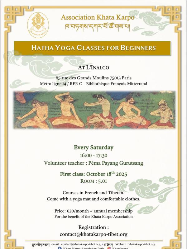 Hatha Yoga Classes for Beginners