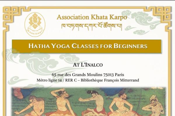 Hatha Yoga Classes for Beginners
