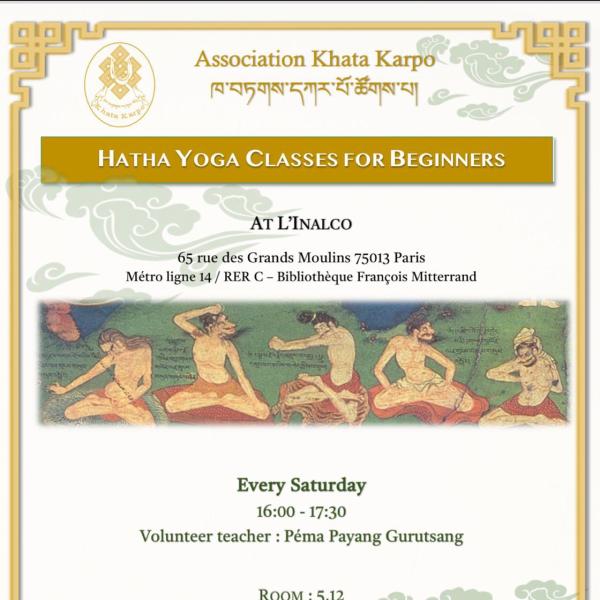 Hatha Yoga Classes for Beginners