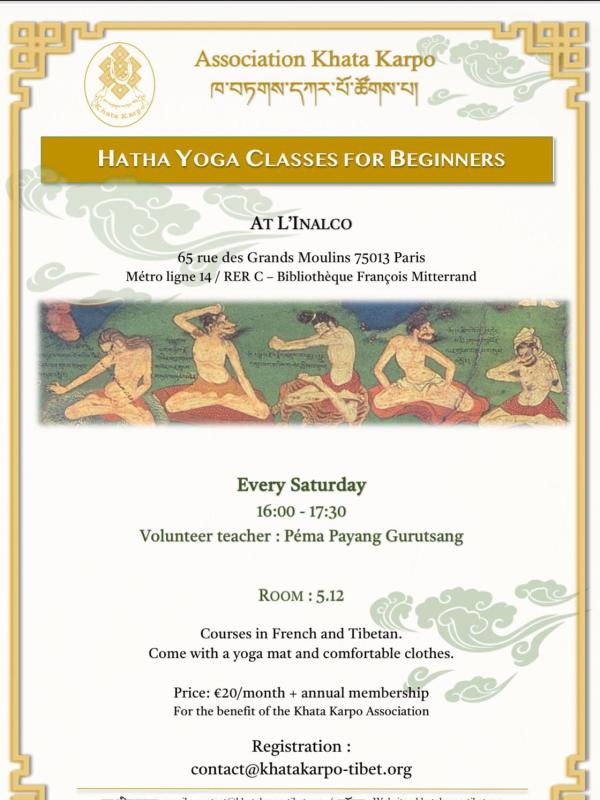 Hatha Yoga Classes for Beginners